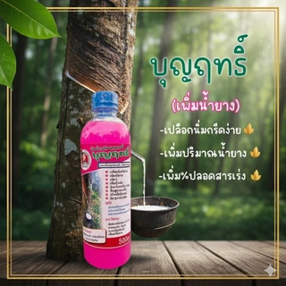 บุญฤทธิ์ สูตรบำรุงรักษาหน้ายาง 500cc กรีดง่าย เปลือกนิ่ม ช่วยเพิ่มปริมาณน้ำยาง ป้องกันโรครา หน้าดำ ราชมพู