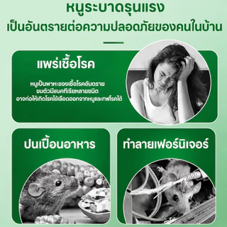 🐀ผู้เชี่ยวชาญการฆ่าหนู🐀ไล่หนู ยาฆ่าหนู ยาไล่หนู ยาหนู ปลอดภัยและไม่มีอันตราย แก้ปัญหาหนูในบ้านได้อย่างง่ายดาย
