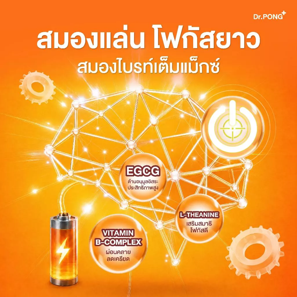 [ใหม่!] Dr.PONG INT + Focus On with B-Complex อาหารเสริมช่วยโฟกัส คิดไว เพิ่มสมาธิ เสริมความจำ ทดแทนการดื่มชา กาแฟ thumbnail 4