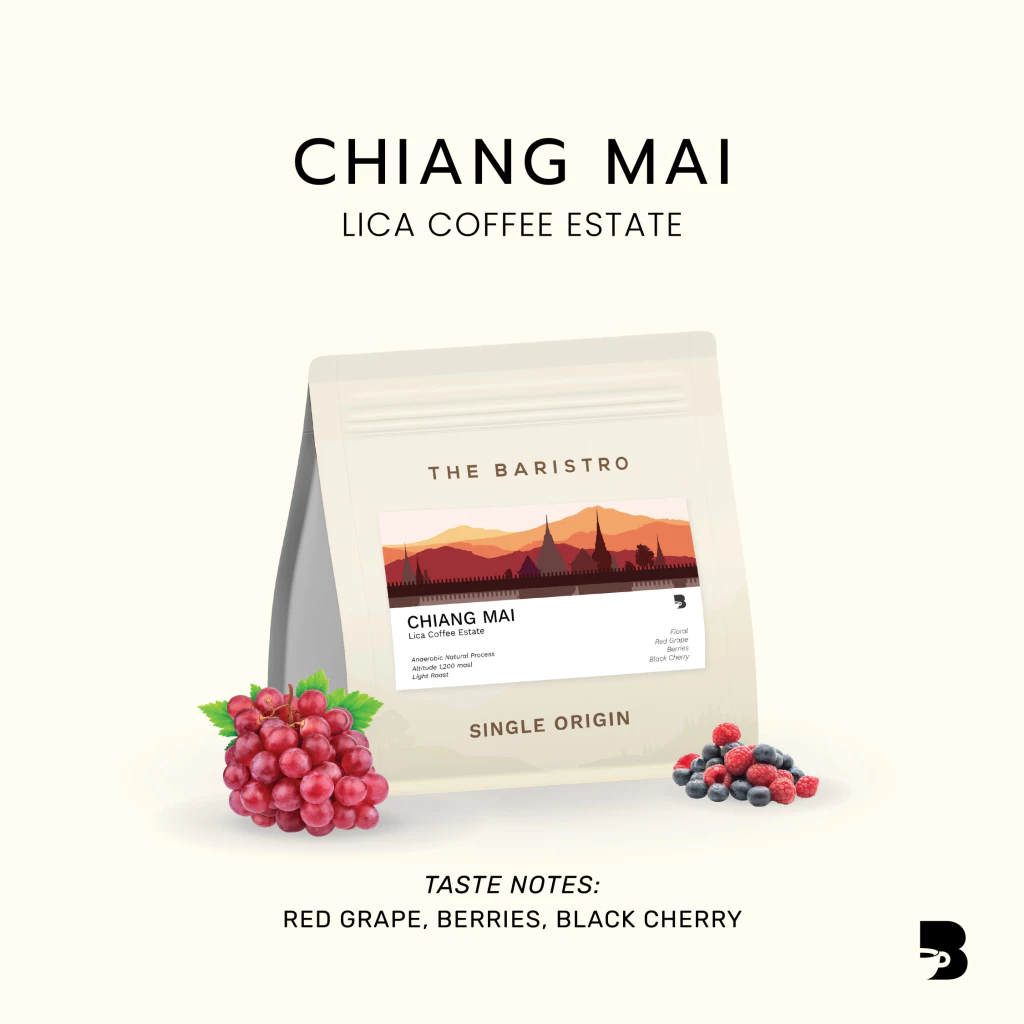 เมล็ดกาแฟ คั่วอ่อน - Chiang Mai Lica Coffee Estate