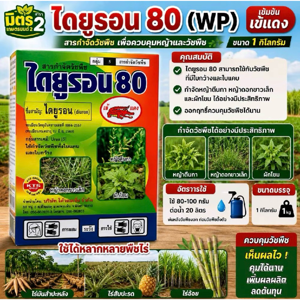 ไดยูรอน80 (WP) เข้แดง ขนาด1กก ไดยูรอน สารกำจัดวัชพืชใขแคบและใบกว้าง หญ้าตีนกา หญ้าดอกขาว #สับปะรด #มันสับปะหลัง #อ้อย