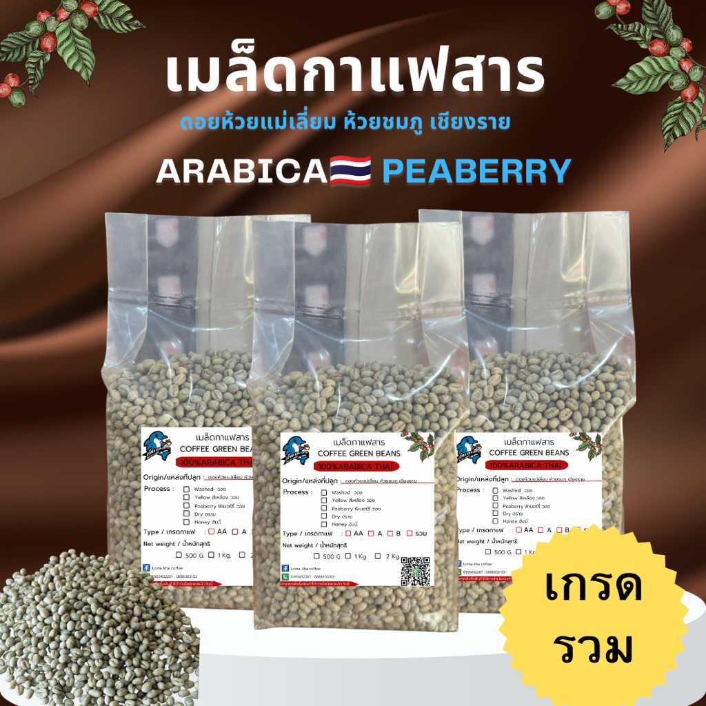 เมล็ดกาแฟดิบ/เมล็ดกาแฟสาร Peaberryอาราบิก้า เกรดรวม 1 kg ขนาดจากดอยกาจออาข่า ห้วยแม่เลี่ยม ห้วยชมภูเชียงราย