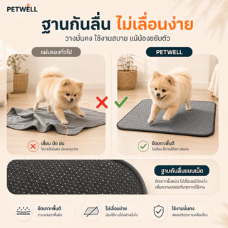 แผ่นรองฉี่สำหรับสัตว์เลี้ยง PETWELL สามารถนำกลับมาใช้ใหม่ ซักได้ กันลื่น ระบายอากาศได้ดี และเหมาะสำหรับการฝึกฉี่ลูกสุนัข