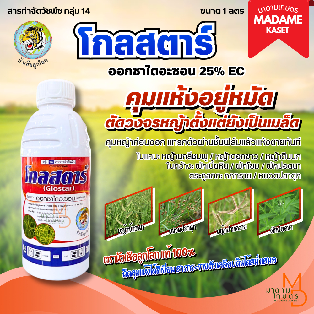[ของแท้100%] โกลสตาร์ 1 ลิตร ออกซาไดอะซอน 25% W/V EC กลุ่ม 14 ตราหัวเสือลูกโลก สารคุมวัชพืช คุมหญ้านาข้าว คุมแห้งอ้อย ข้
