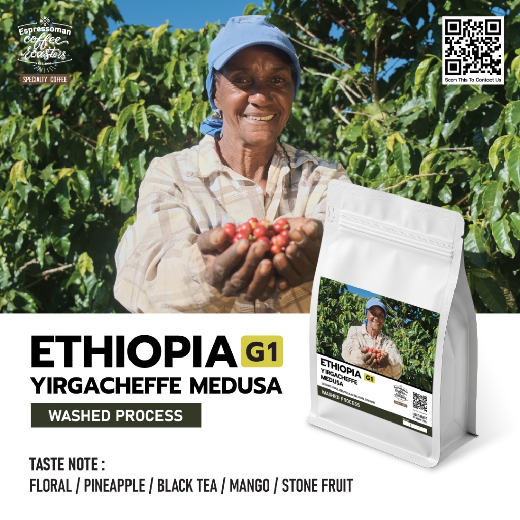 ETHIOPIA YIRGACHEFF MEDUSA G1 WASHED PROCESS เมล็ดกาแฟพิเศษคั่วอ่อน จากเอธิโอเปีย เหมาะสำหรับทำ Filter และ Espresso