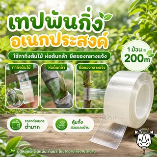 เทปพันกิ่งไม้ เทปพันกิ่งทาบ เทปพันตา หน้ากว้าง 3,6 ซม หนา ทนทาน คุณภาพดี ส่งของทุกวัน ส่งของจากประเทศไทย