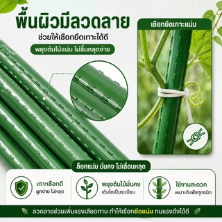 HANATEK ไม้ค้ำต้นไม้ 10 แท่ง เสามะเขือเทศ หลักไม้เลื้อย 11 มม. 60-150 ซม. ทำค้างผัก DIY