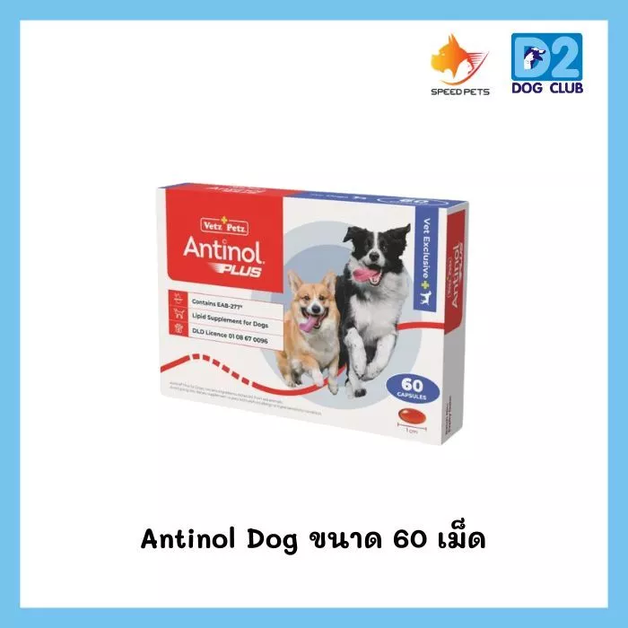 Antinol Dog 60 caps อาหารบำรุงข้อสุนัข อาหารเสริมบำรุงข้อสำหรับสุนัข บรรจุ 60 caps / 1 กล่อง