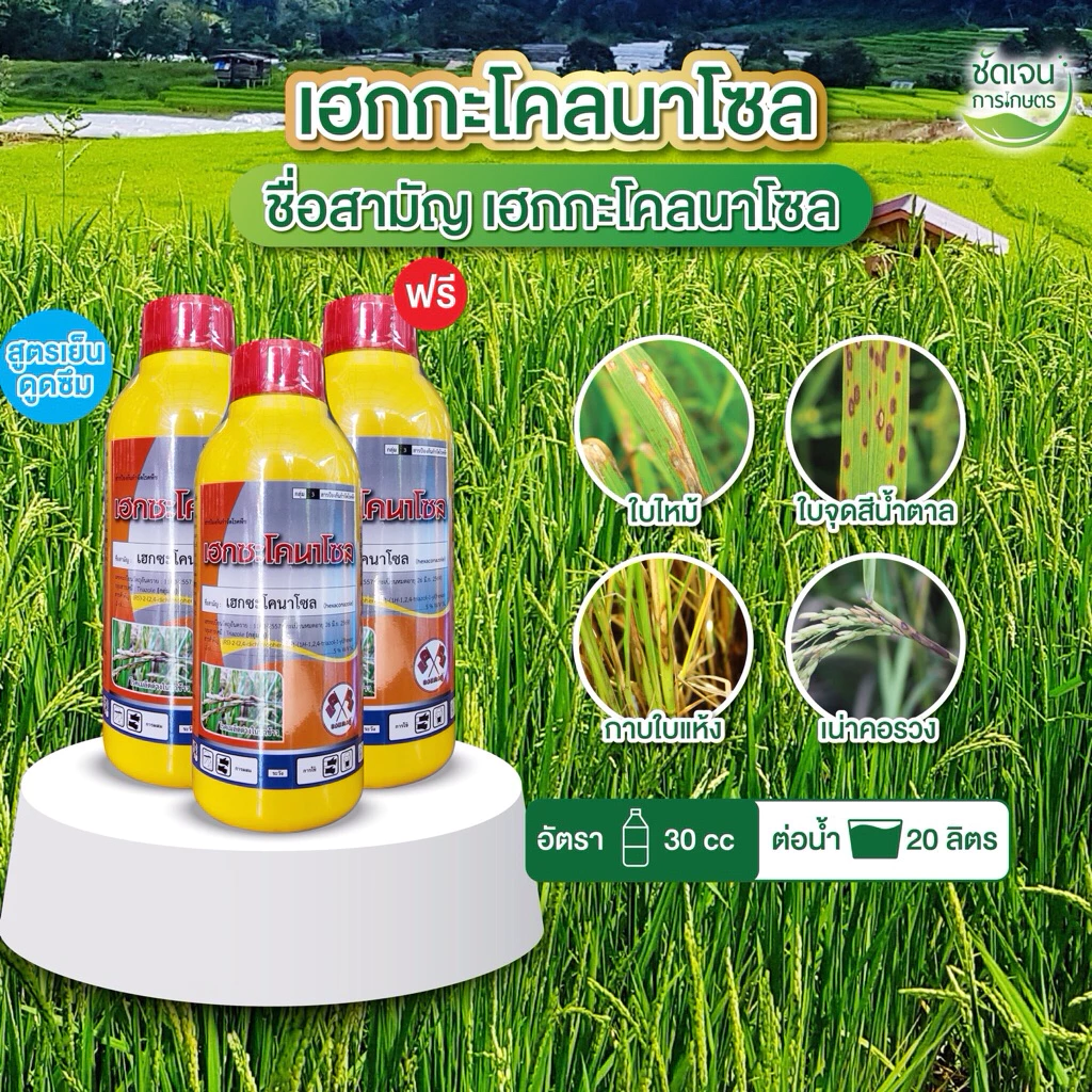 2แถม1 เฮกซะโคลมาโซนพรีเมียม ขนาด1 ลิตร เชื้อราใบไหม้ ใบจุดเมล็ดด่าง