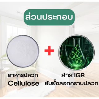กลีนเบท Gleen Bait เหยื่อกำจัดปลวก เหยื่อปลวก ขนาด 30 กรัม มี อย.