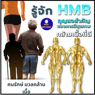 โปรตีนเม็ด HMB เพิ่มมวลกล้ามเนื้อ แข็งแรง ต้านกล้าม เนื้อลีบ ลดอ่อนเพลีย ผู้สูงอายุ ฟิตเนส กิฟฟารีน