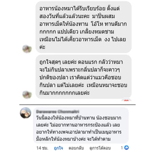 [แพ็คใหญ่ ขายดี] ปลาซาร์ดีนนึงก้างนิ่ม อาหารหมา อาหารแมว อาหารเปียก ขนมหมา ขนมแมว Realdy - Feed Real Food