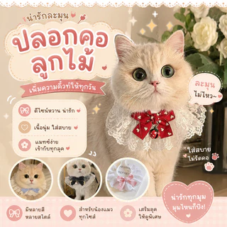 🌵 ปลอกคอลูกไม้ ปลอกคอแมว ปรับระดับได้ ความกว้างของลูกไม้ 25 ซม. สายผูกข้างละ15cm ปลอกคอสุนัข ลายโบว์ ลุคคุณหนู 🌵
