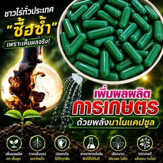 🌿🥬แค็ปซูลนาโนเขียว 10/30/50แค็ปซูล ราคาส่งจากโรงงาน.-🥬🌿💥🌱ฮอร์โมนพืชทางใบและดิน