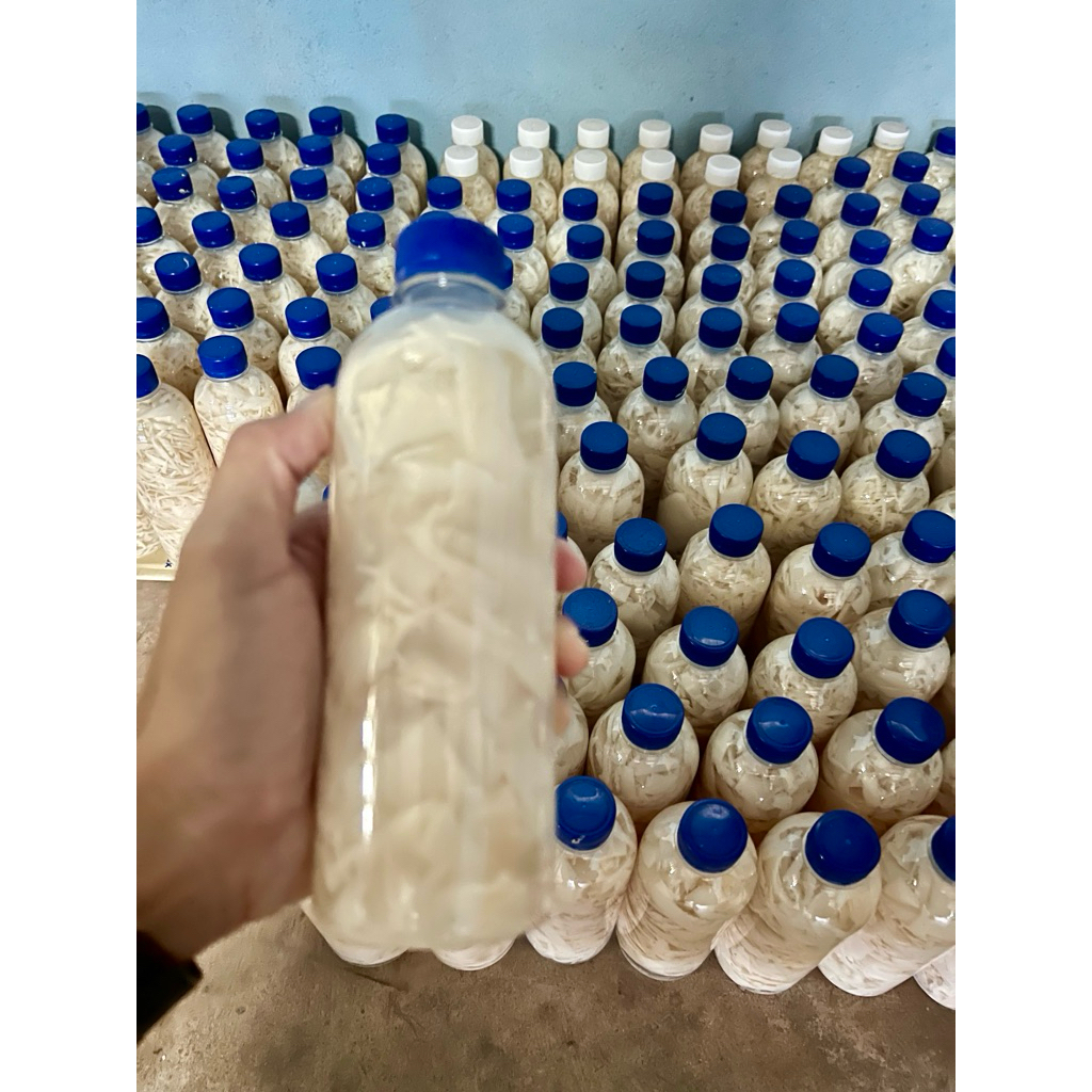 หน่อไม้ดองเปรี้ยว ขนาด500ml(เส้นสับ แบบแผ่น แจ้งในแชท) สะอาดปลอดภัยไม่ฟอกสี มีแค่เฉพาะตามฤดูกาลเป็นของสดใหม่