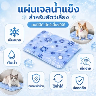 ที่นอนเจลเย็นเตียงสัตว์เลี้ยงสุนัขสากลเก้าอี้เย็นแผ่นทำความเย็น ที่นอนความเย็น และความสะดวกสบาย