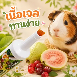 วิตามินซีสำหรับหนูแกสบี้ Chibi San แบบผง แบบน้ำ แบบเจล มี 3 รูปแบบ