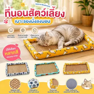 Boqi Factory ที่นอนสัตว์เลี้ยง เสื่อหวายระบายอากาศ เบาะรองนั่งนองนอน สุนัขและแมว Haki