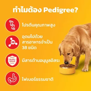 PEDIGREE เพดดิกรี อาหารเม็ดสุนัข สุนัขโต รสเนื้อวัวและผัก / รสไก่และผัก / รสตับและผัก / รสไก่และตับย่าง 20กก.