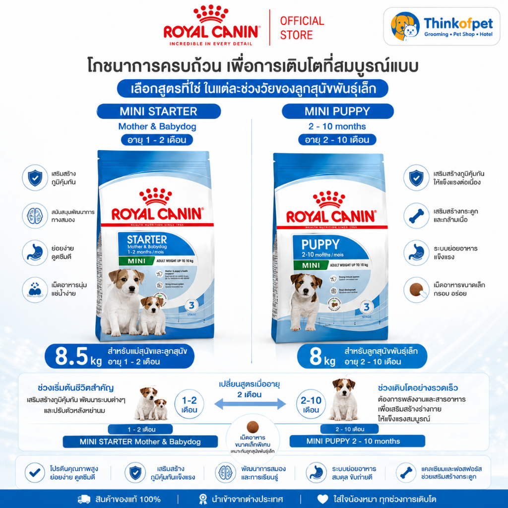 Royal Canin Mini Starter 8.5 kg และ Mini Puppy 8 kg  เลือกสูตรให้เหมาะกับช่วงวัยของลูกสุนัขพันธุ์เล็ก