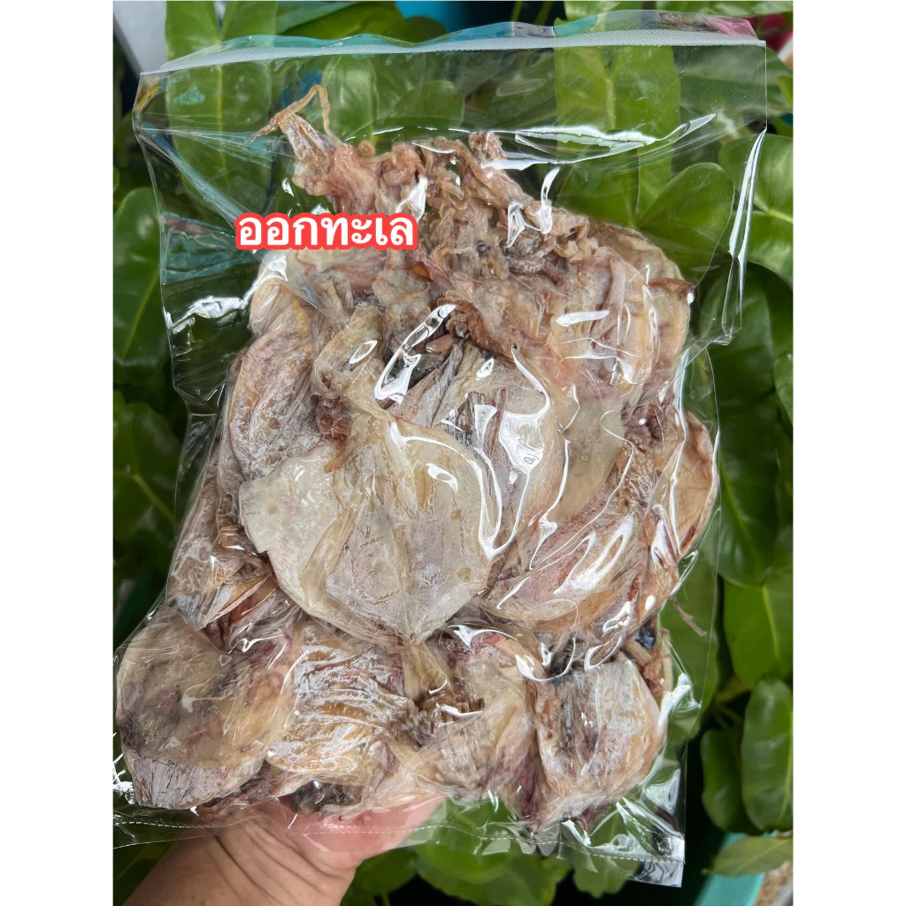 ราคาส่ง หมึกย่าง A6 ขนาดกำลังดี 🦑🦑 แพ็คสูญญากาศ 500 กรัม