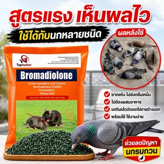 บอกลาขี้นกที่กวนใจ ยาเบื่อ นกพิราบ ยาฆ่านกพิราบ ทำลายอวัยวะภายในตายใน 1วัน แห้งเร็วและไม่มีกลิ่น เหยื่อกำจัดนกพิราบ