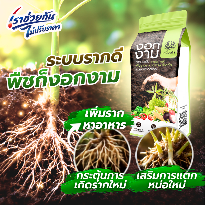 [สารปรุงดิน] งอกงาม แก้ดินแน่น ฟื้นต้นไม่โต กระตุ้นการแตกรากใหม่ ในพืชทุกชนิด ขนาด 1 กก. ตราเหยี่ยวดำ