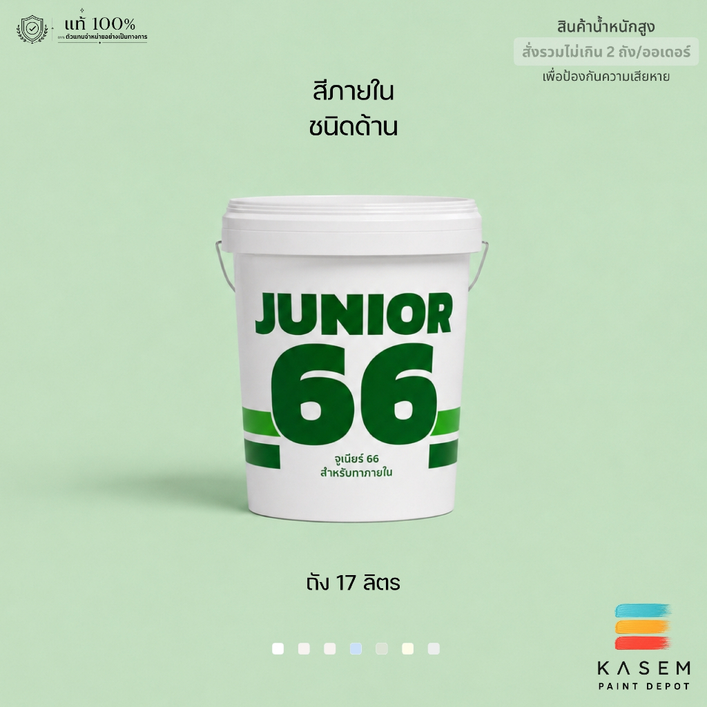 Nippon Paint Junior 66 สีทาบ้าน ภายใน นิปปอน จูเนียร์ 66 ชนิดด้าน ถังใหญ่ 17 ลิตร