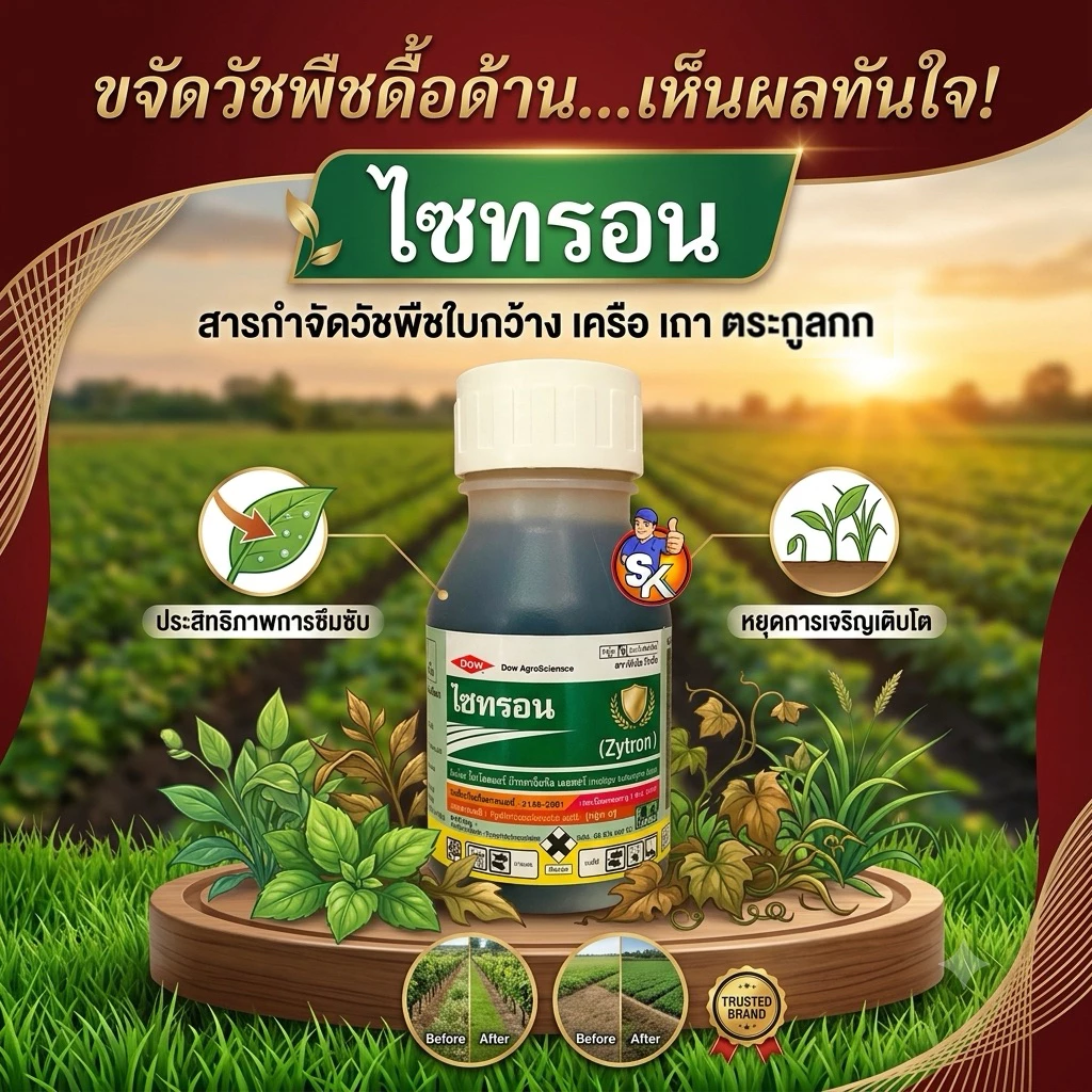 ไซทรอน ขนาด 250 มิลลิลิตร