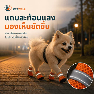 รองเท้าสุนัข PETWELL ชุด 4 ชิ้น ระบายอากาศ กันลื่น เหมาะสำหรับฤดูร้อนและกลางแจ้ง