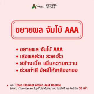 จัมโบ้ AAA ขยายผลก่อนเก็บเกี่ยว สร้างเนื้อ เพิ่มความหวาน ช่วยทำสี เพิ่มน้ำหนักผล เพิ่มแป้ง เอเจนต้า คอร์ป