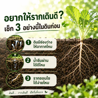 ไบโอชาร์ปรับโครงสร้างดิน พร้อมใช้ ชาร์จจุลินทรีย์จาวปลวก + จุลินทรีย์สังเคราะห์แสง (PSB) ช่วยให้ดินโปร่ง อุ้มน้ำ