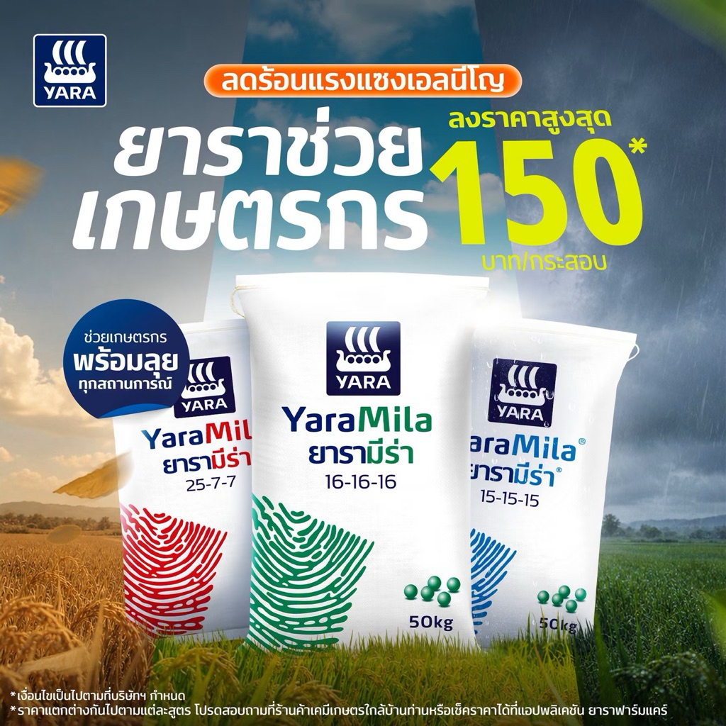 ( 1 กระสอบ=50กิโลกรัม) 25-7-7 ยาร่ามีร่า 16-16-16ยาร่ามีร่า 15-15-15ยาร่ามีร่า 13-13-21ยาร่ามีร่า ขน