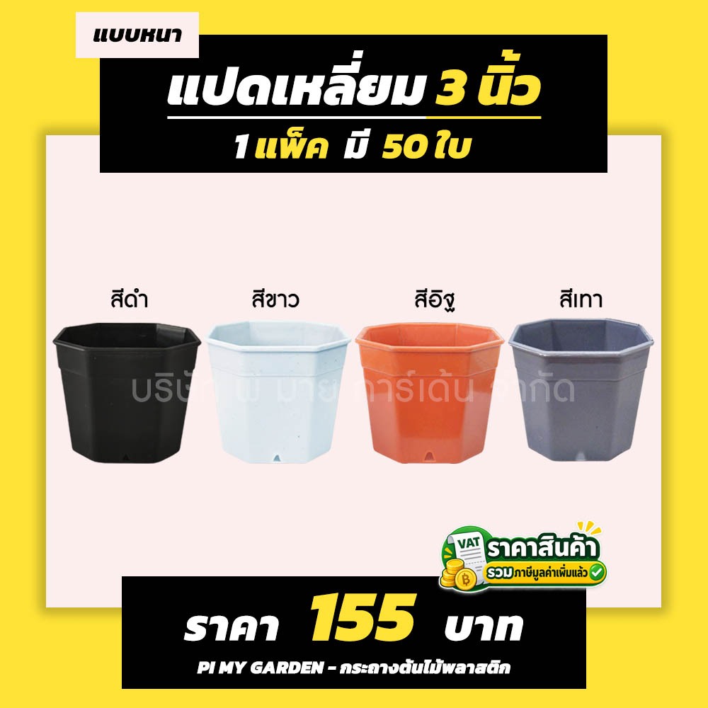 กระถางแคคตัส ทรงแปดเหลี่ยม 3 นิ้ว สีขาว สีดำ สีเทา สีอิฐ แพ็ค 50 ใบ