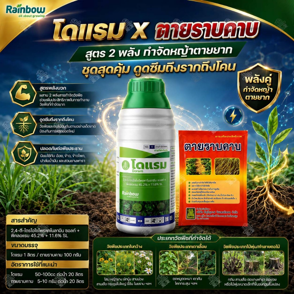 2,4-ดี+พิคลอแรม (1L*12ขวด) 2,4-ดี ไตรไอโซโพรพาโนลามีน ซอลท์+พิโคลแรม ใช้เหมือน ทอร์ดอน ไตรโม่ ซีสโม่