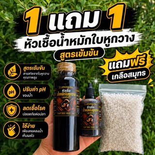 (1 แถม 1)น้ำหมักใบหูกวางสูตรเข้มข้นสั่งซื้อวันนี้แถมฟรีเกลือสมุทร200กรัม