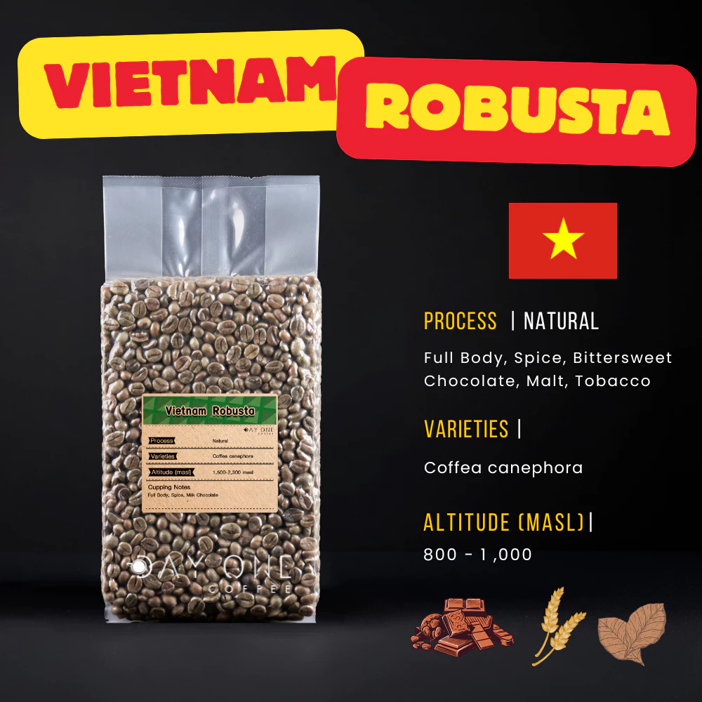 สารกาแฟโรบัสต้า Robusta green bean DAY ONE COFEE