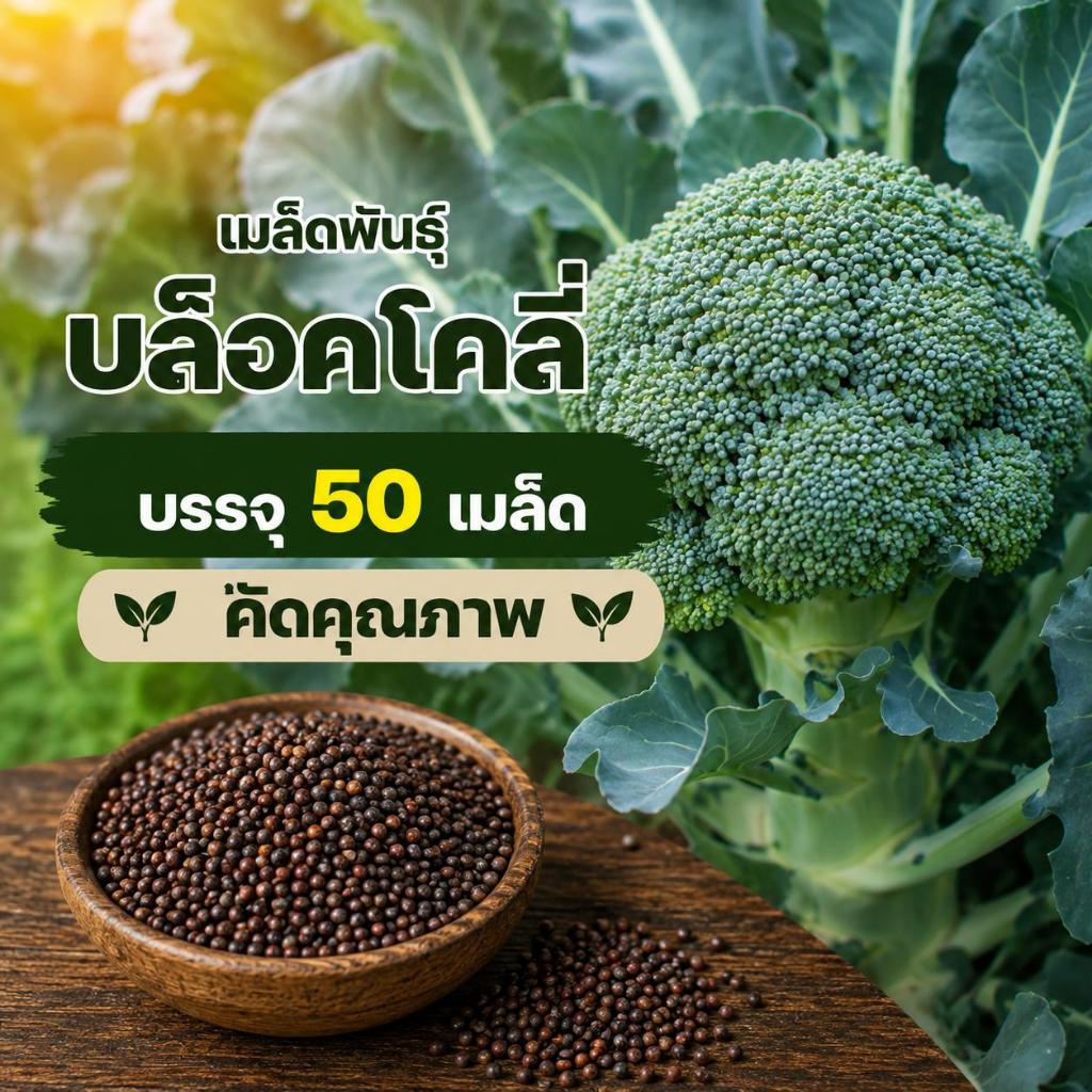 เมล็ดพันธ์ุ บล็อคโคลี่ บรรจุซองละ 50 เมล็ด