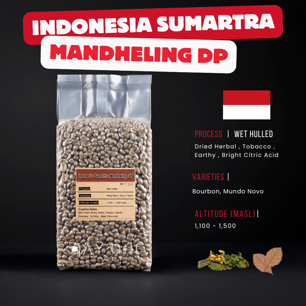 เมล็ดกาแฟดิบ INDONESIA SUMATRA MANDHELING DP Wet Hulled ( DAY ONE COFFEE )