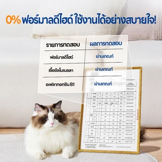 Kllei【ส่งฟรี พร้อมส่ง】ทรายแมว ไร้ฝุ่น ไม่ติดอุ้งเท้า ทำจากมันสำปะหลังธรรมชาติ ดับกลิ่นดีเยี่ยม