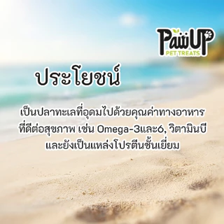 สติ๊กปลาซาบะ Omega3&6 ขนมหมา ขนมแมว ขนมชูก้าไรเดอร์ PawUp 200กรัม ไม่เค็ม ไม่ใส่สารปรุงแต่ง