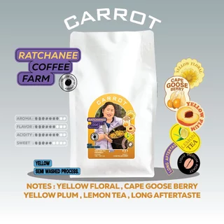 BIG SIZE / LIGHT MEDIUM ROAST / เมล็ดกาแฟไทย ขนาด 500g -1kg ราคาพิเศษ