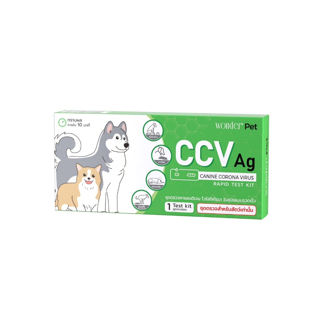 ชุดตรวจเชื้อโคโรน่า สำหรับสุนัข CCV