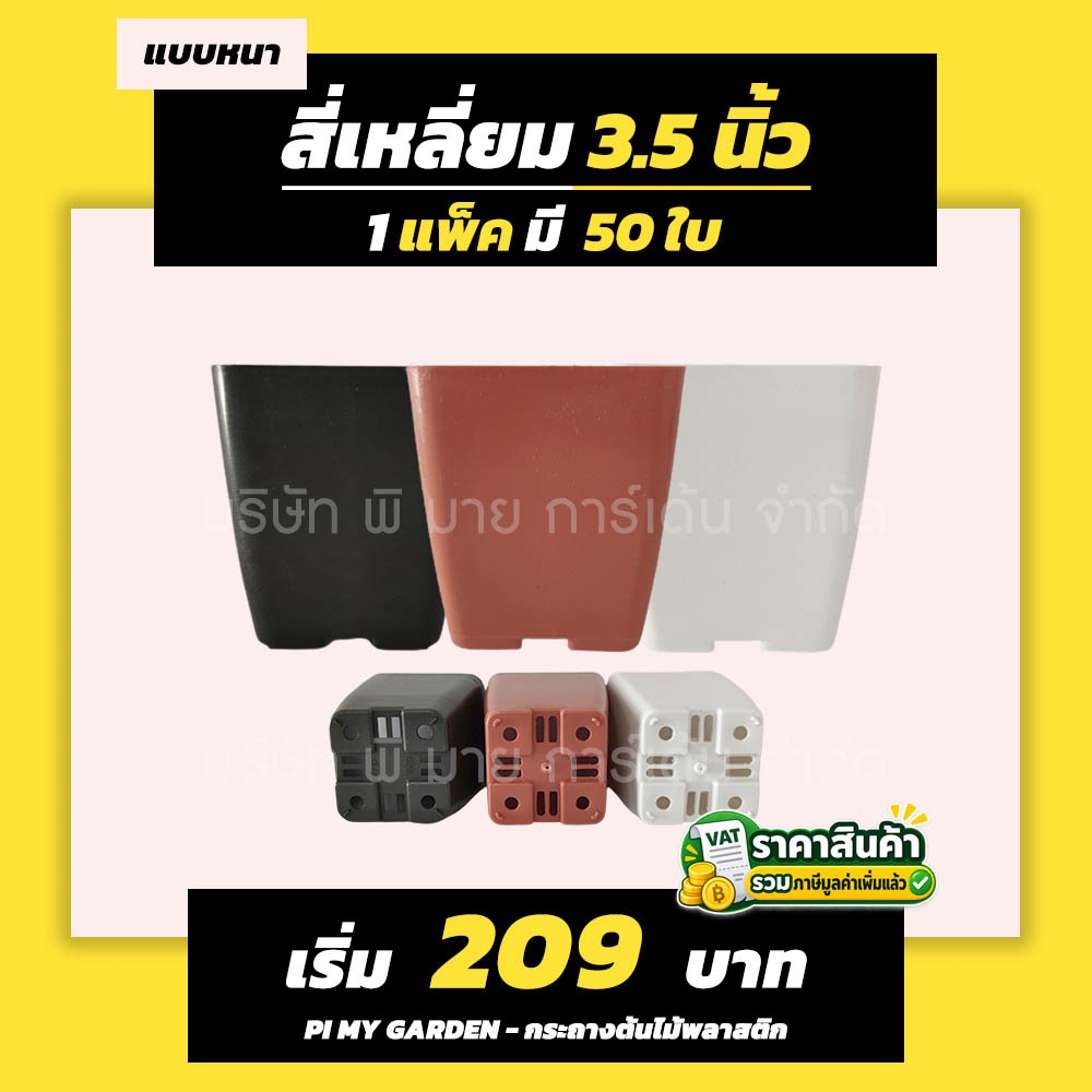 กระถางแคคตัส ทรงสี่เหลี่ยม 3.5 นิ้ว ไม่มีขอบ  สีดำ สีขาว สีอิฐ  แพ็ค 50 ใบ