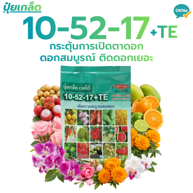 ปุ๋ยเกล็ด เวสโก้ 10-52-17+TE ธาตุรองเสริม เปิดตาดอก สะสมอาหาร เร่งดอก หยุดใบอ่อน ปุ๋ยทุเรียน กล้วยไม้