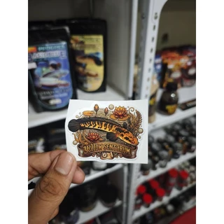 สติกเกอร์ติดตู้ปลา Channa LKB ลายปลาช่อนสวยงาม เกรดพรีเมี่ยม กันน้ำ กันแดด (Snakehead Fish Decals)ะ