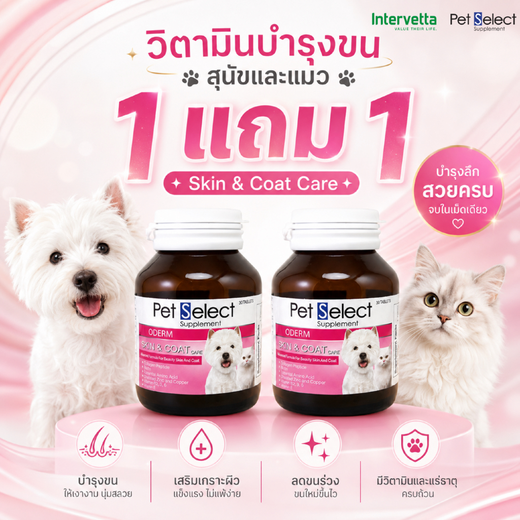 Pet Select ODERM Skin&Coat Care (เพทซีเลคโอเดิร์ม) อาหารเสริมสูตรบำรุงสุขภาพผิวหนังและเส้นขน