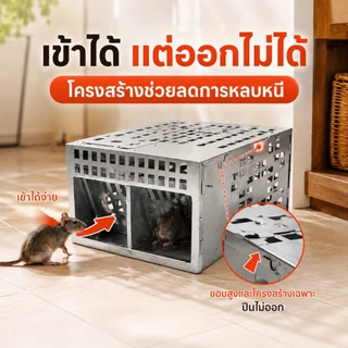 [ส่งจากไทย] 🐀กรงดักหนู กับดักหนู ที่ดักหนู ตรงปกไม่จกตา จัดส่งไวสุดๆวิ้งๆ✨