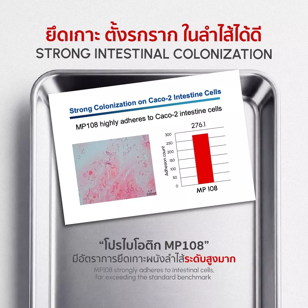 [ตะกร้าบริษัท] LASSIE Progina Probiotics โพรไบโอติกส์ 2 สายพันธุ์คัดเฉพาะเพื่อผู้หญิง แคปซูลทนกรดแตกตัวที่ลำไส้ thumbnail 6