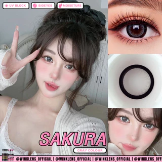 คอนแทคเลนส์ รุ่น Sakura/ Gavin สีเทา/ตาล Gray/Brown มีค่าสายตา (0.00)-(-10.00)
